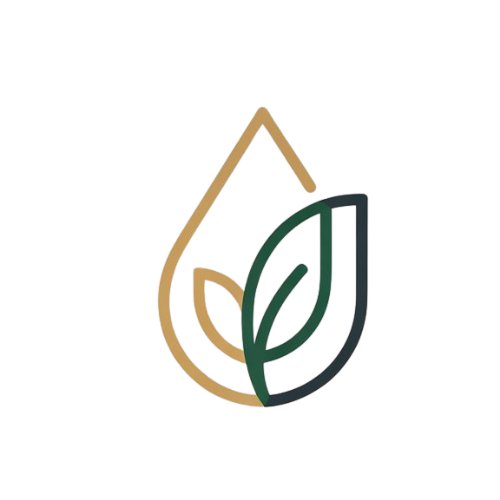 comunidadydesarrollo.com